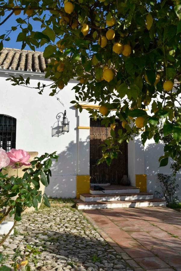 Finca Las Rosas De Santa Ana Villamartín Exteriör bild