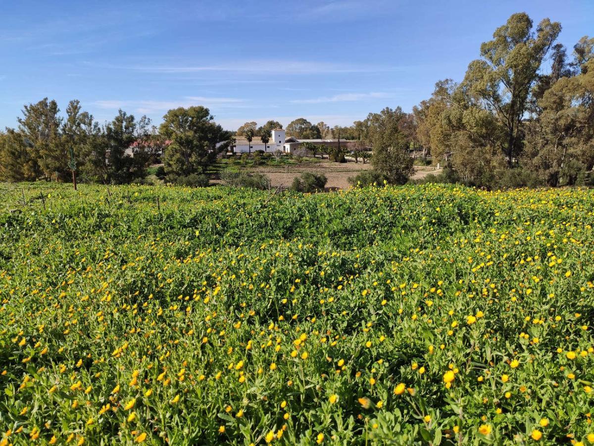 Finca Las Rosas De Santa Ana Villamartín Exteriör bild
